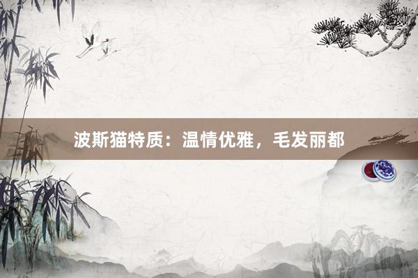波斯猫特质：温情优雅，毛发丽都