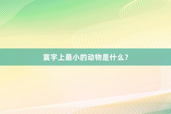 寰宇上最小的动物是什么？