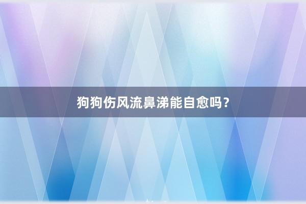 狗狗伤风流鼻涕能自愈吗？